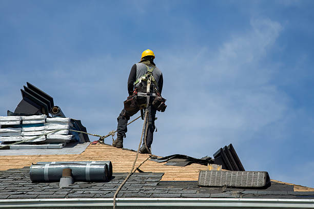 Professional Roof Replacement technician working in Maywood, CA